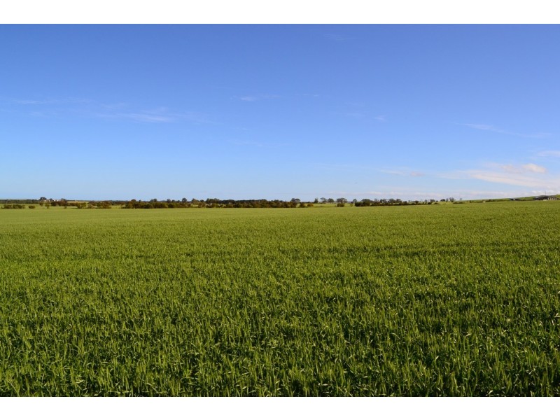 Lot 12 Stirlings Road, Tumby Bay SA 5605