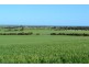 Lot 12 Stirlings Road, Tumby Bay SA 5605