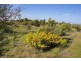 Lot 12 Stirlings Road, Tumby Bay SA 5605