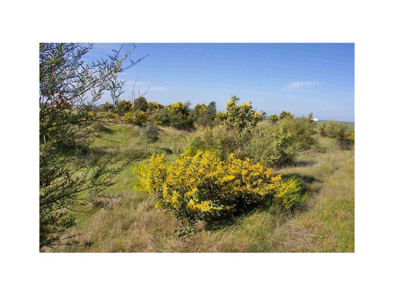 Lot 12 Stirlings Road, Tumby Bay SA 5605