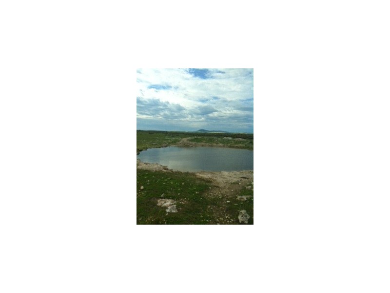 Sec 81,82and115 Flinders Highway, Coulta SA 5607