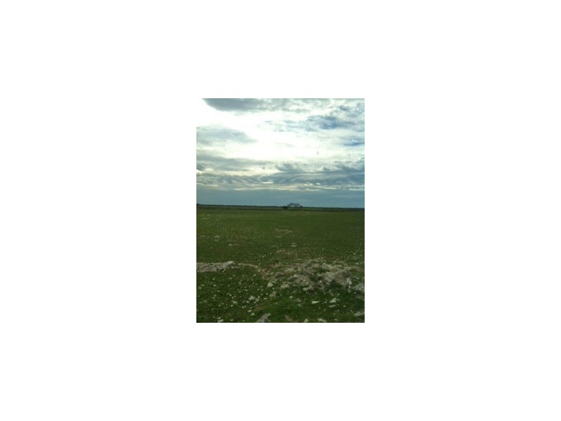 Sec 81,82and115 Flinders Highway, Coulta SA 5607