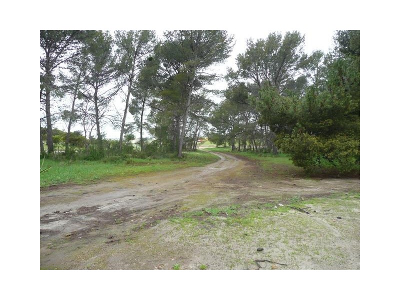 Section 134 Fourth Street, Wangary SA 5607