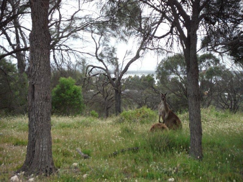 19-21 Sarah Court, Coffin Bay SA 5607