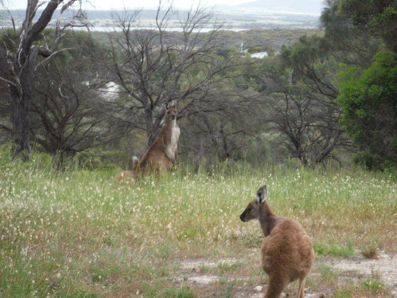 19-21 Sarah Court, Coffin Bay SA 5607
