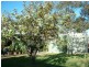 5 Meikle Street, Cummins SA 5631