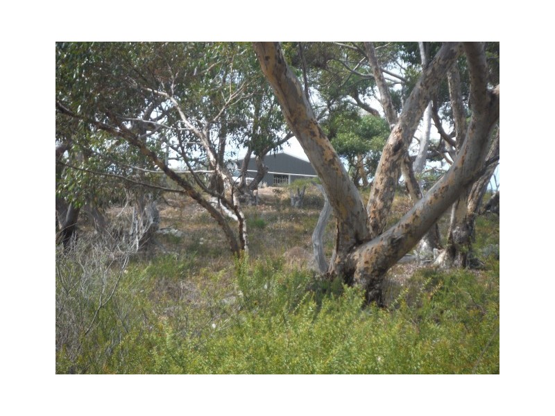 Lot 114 Redgum Road, Coulta SA 5607