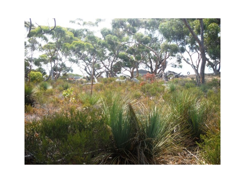 Lot 114 Redgum Road, Coulta SA 5607