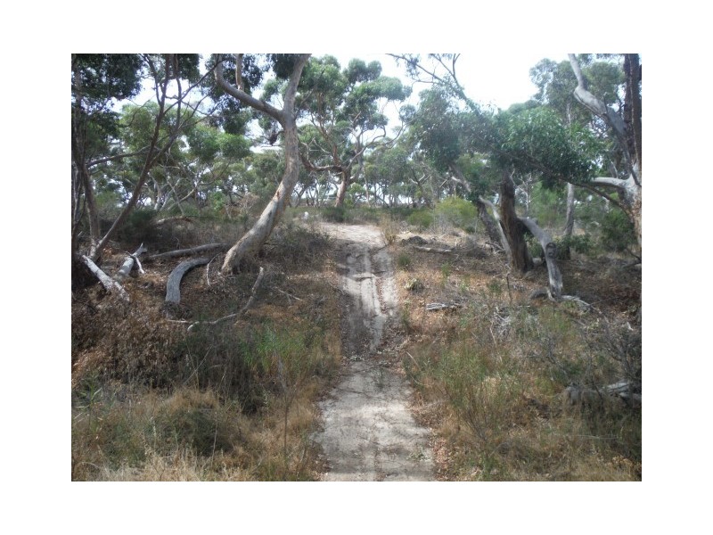 Lot 114 Redgum Road, Coulta SA 5607