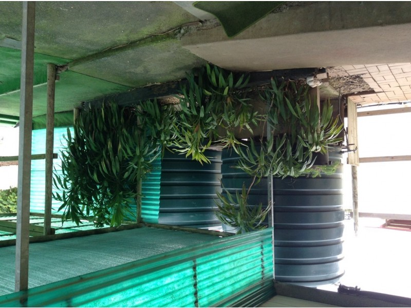 58 Tennant Street, Port Lincoln SA 5606