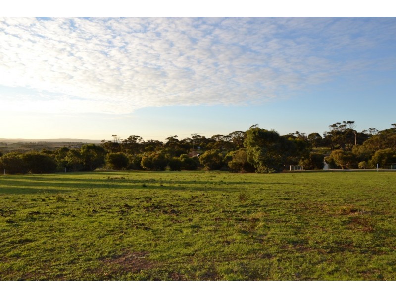 40-42 Bronze Wing Drive, Boston SA 5607