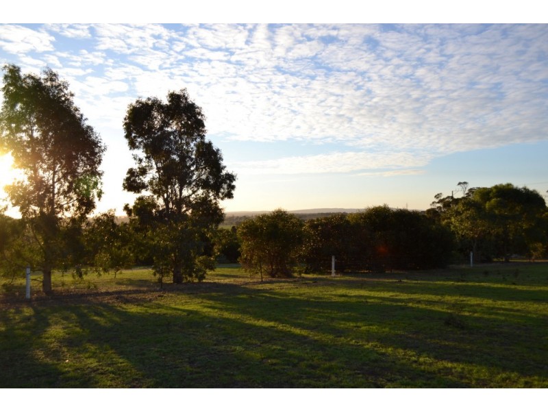 40-42 Bronze Wing Drive, Boston SA 5607