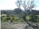 28 Sarah Court, Coffin Bay SA 5607