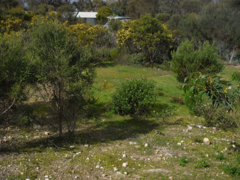 19 Endeavour Court, Coffin Bay SA 5607