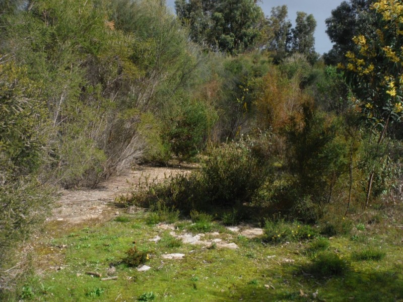 19 Endeavour Court, Coffin Bay SA 5607