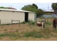 194 New West Road, Port Lincoln SA 5606