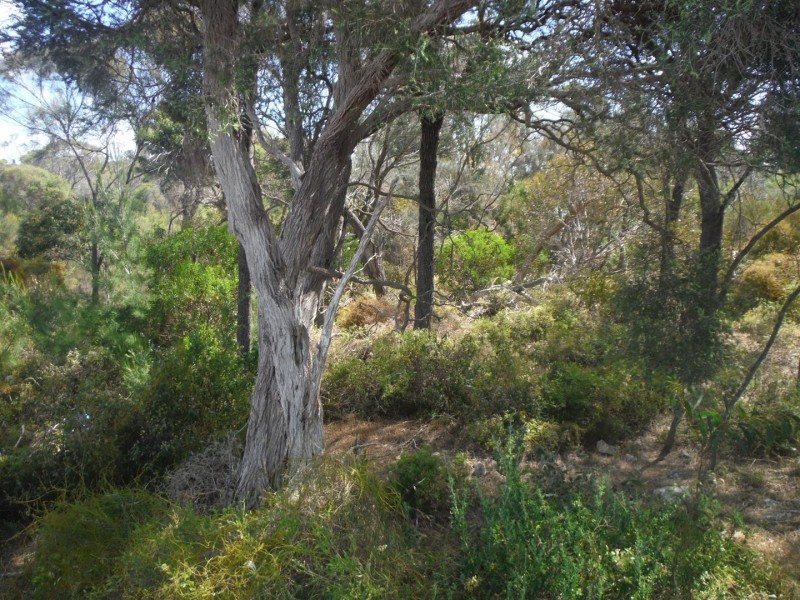 21 Endeavour Court, Coffin Bay SA 5607