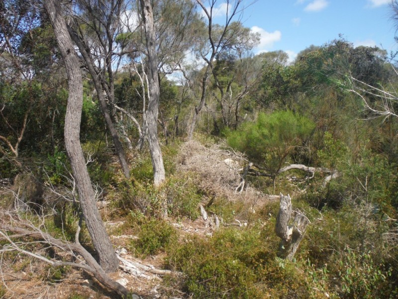21 Endeavour Court, Coffin Bay SA 5607