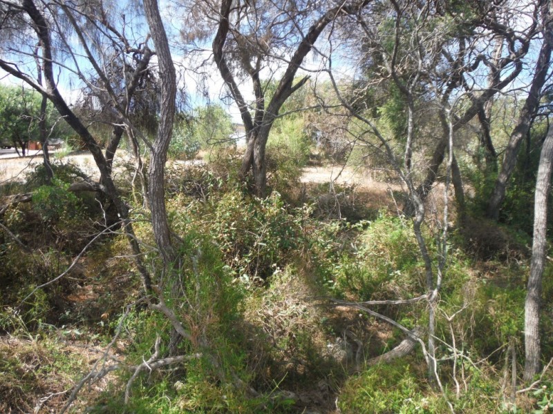 21 Endeavour Court, Coffin Bay SA 5607