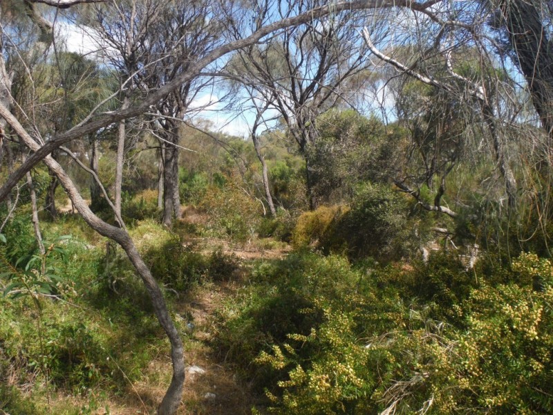 21 Endeavour Court, Coffin Bay SA 5607