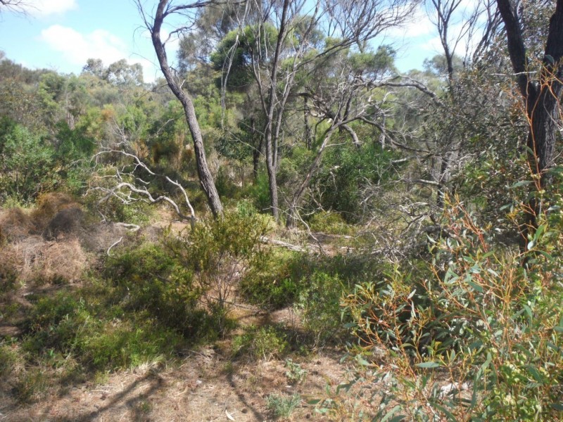 21 Endeavour Court, Coffin Bay SA 5607