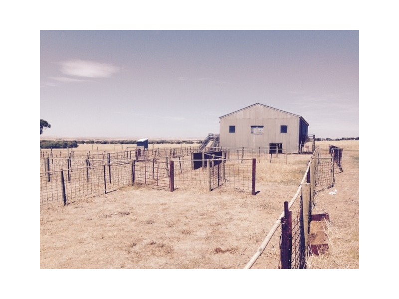 Allotment 12 Hundred of Mortlock and Warrow, Cummins SA 5631