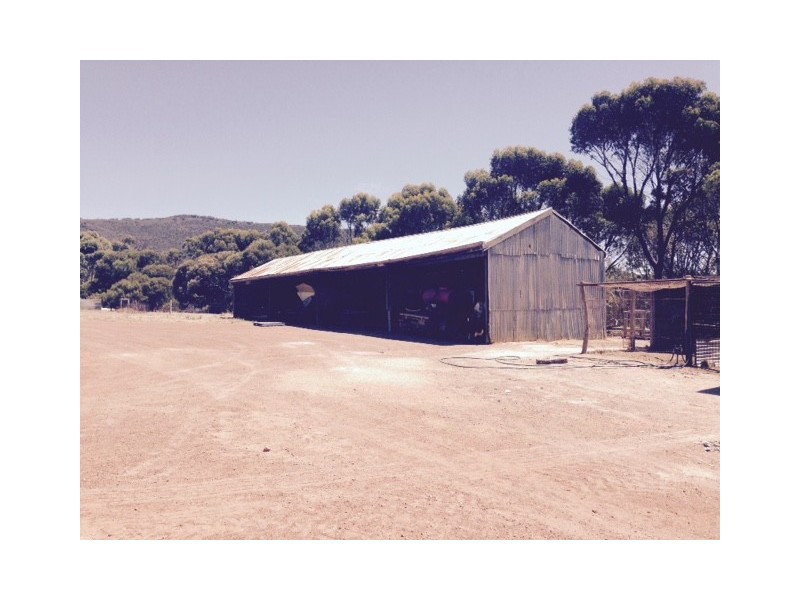 Allotment 12 Hundred of Mortlock and Warrow, Cummins SA 5631