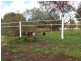 1644 Lincoln Highway, Poonindie SA 5607