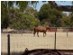 1644 Lincoln Highway, Poonindie SA 5607
