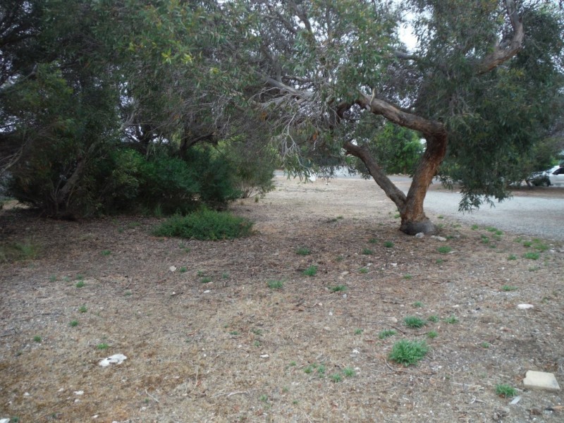 34 Douglas Street, Coffin Bay SA 5607