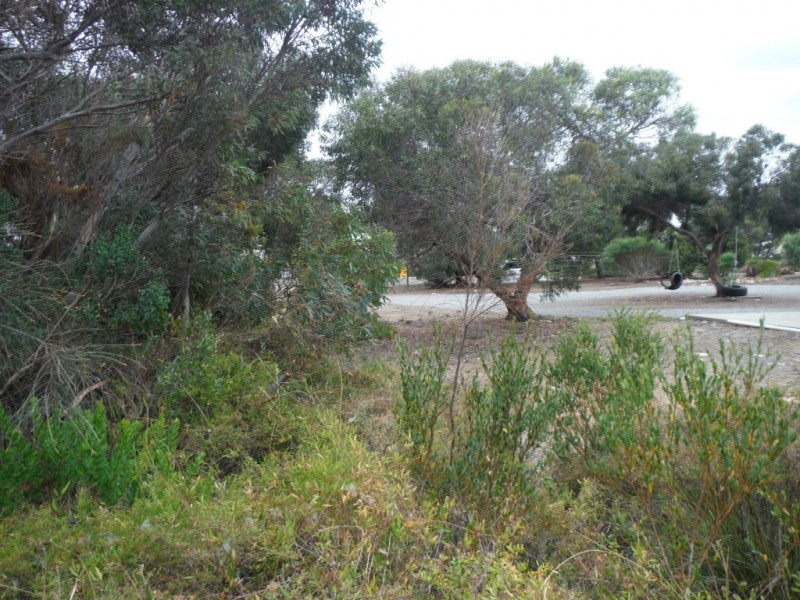 34 Douglas Street, Coffin Bay SA 5607