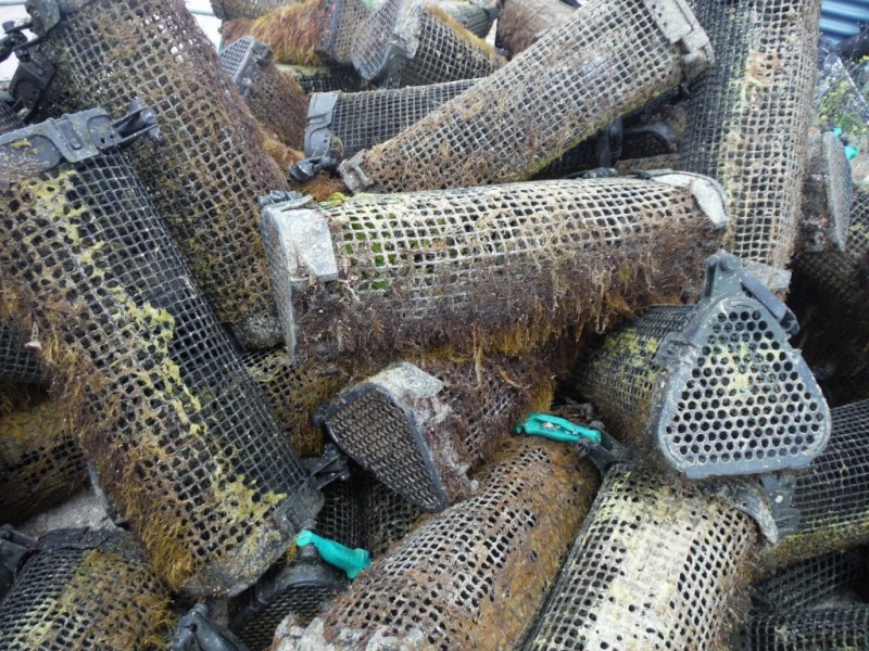 Barnee Cool Pty Ltd, Coffin Bay SA 5607