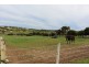 Lot 62 Sea Eagle Court, Boston SA 5607