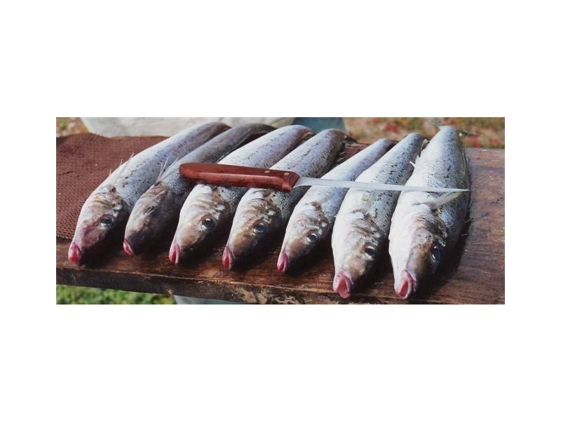 16 Main Street, Port Kenny SA 5671