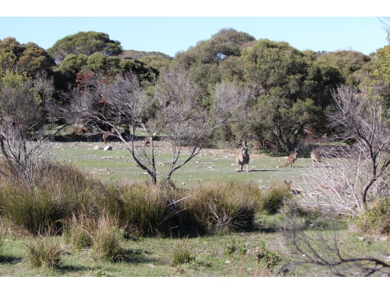 12 Grimm Road, Coffin Bay SA 5607