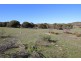 12 Grimm Road, Coffin Bay SA 5607