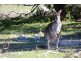 12 Grimm Road, Coffin Bay SA 5607