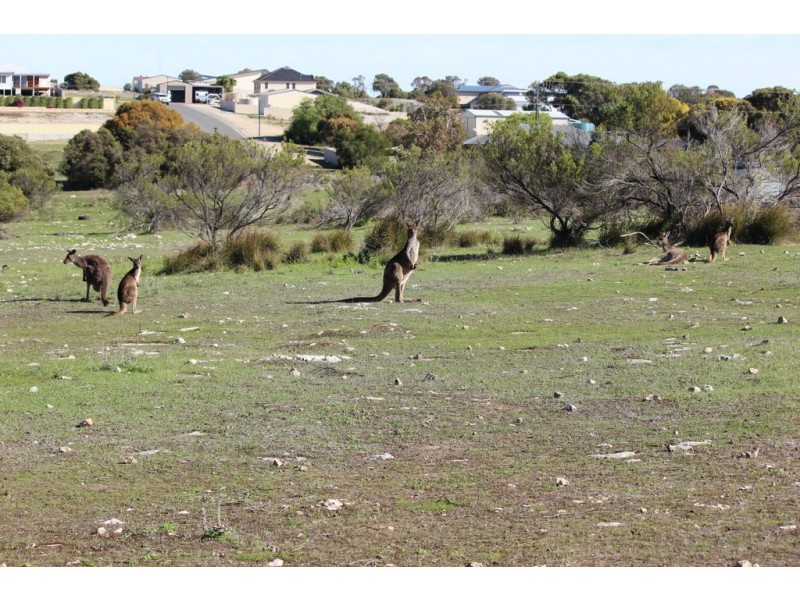 12 Grimm Road, Coffin Bay SA 5607