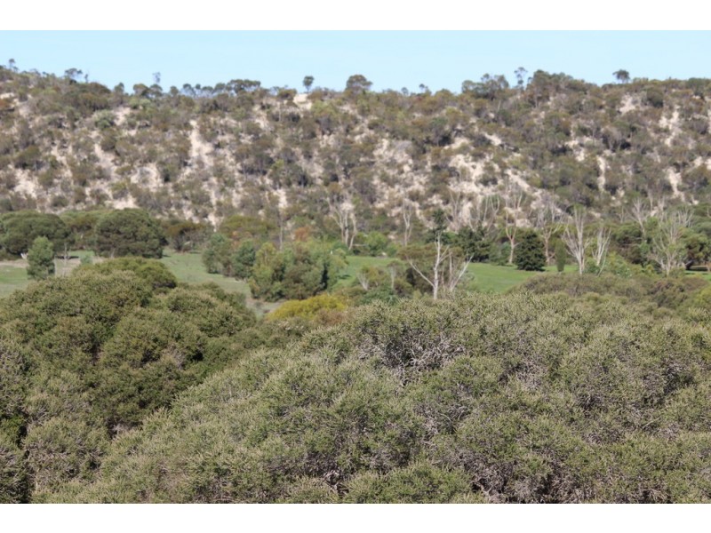 12 Grimm Road, Coffin Bay SA 5607