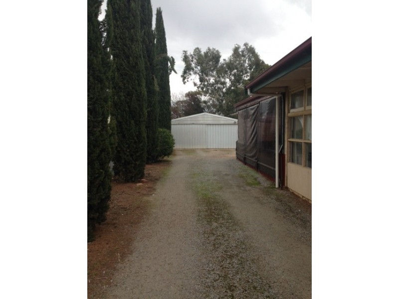 38 Bruce Terrace, Cummins SA 5631