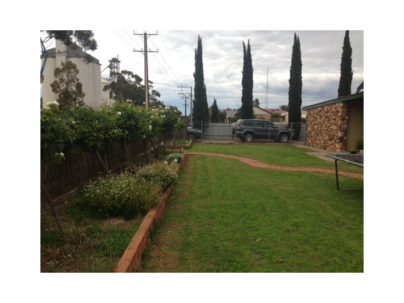 38 Bruce Terrace, Cummins SA 5631