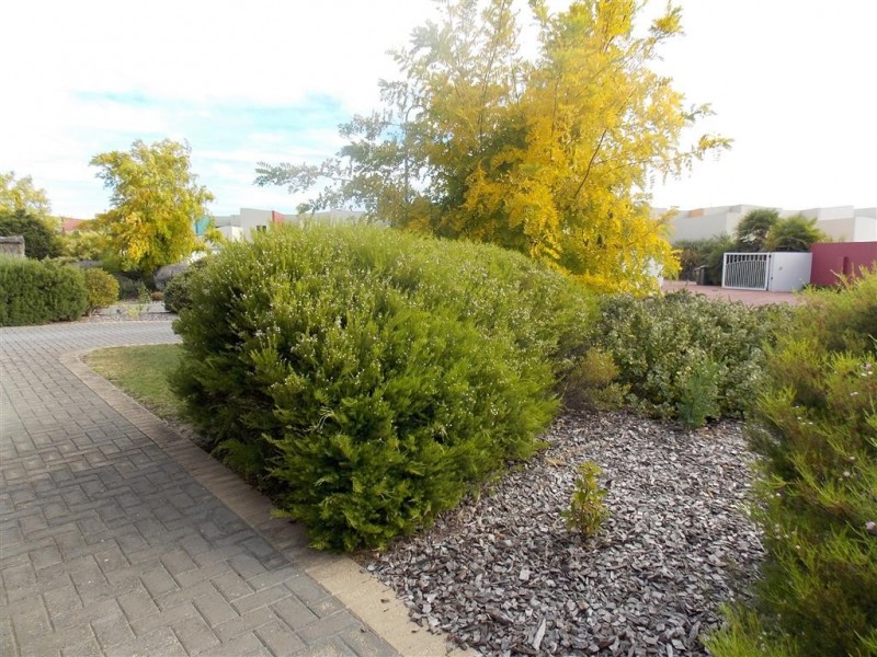 1/1 Sandy Point Drive, Port Lincoln SA 5606
