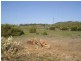 Lot 102 Flinders Highway, Elliston SA 5670