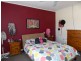 6 McFarlane Street, Cummins SA 5631