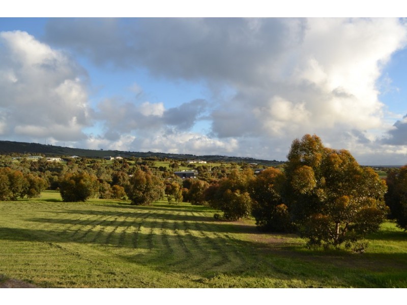 Lot 21 (165) Hidden Valley Lane, Boston SA 5607