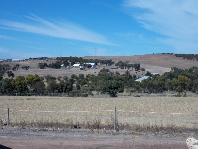 745 White Flat Road, Whites Flat SA 5607