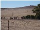745 White Flat Road, Whites Flat SA 5607
