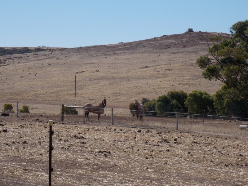 745 White Flat Road, Whites Flat SA 5607