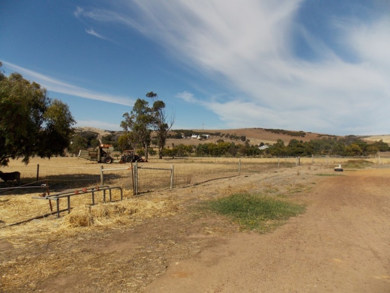 745 White Flat Road, Whites Flat SA 5607