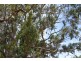 115 Happy Valley Road, Port Lincoln SA 5606